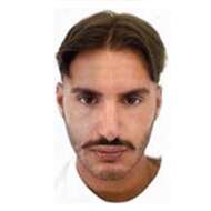 Victor Mauvady